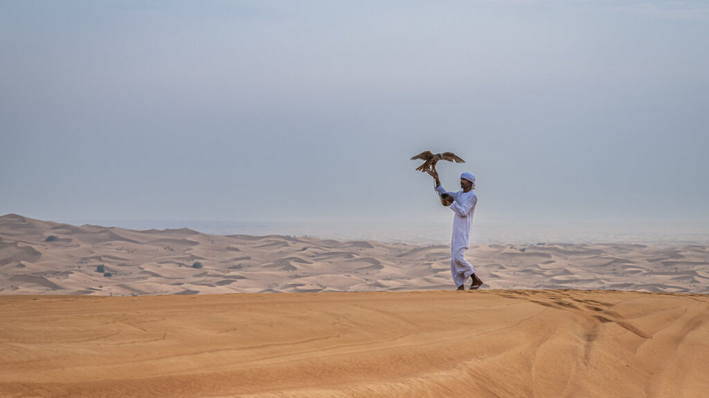 Desert walk