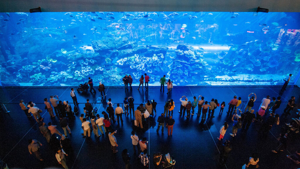 Dubai Aquarium