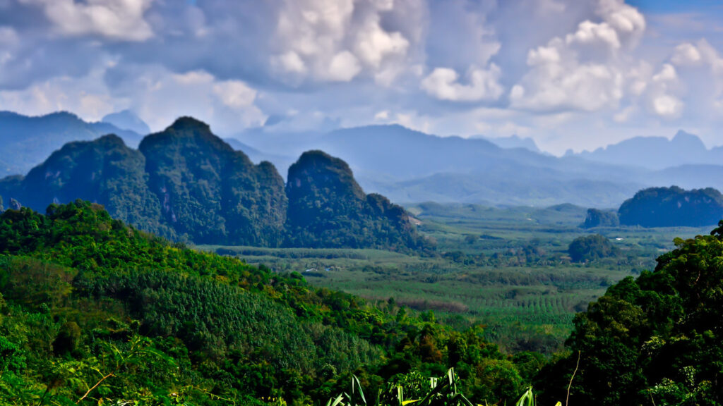 Landscape