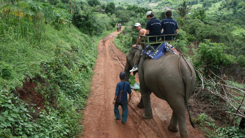 elephant trekking in thailand